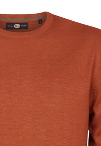 Petrol Industries - Sweter