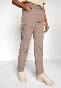 Salomon WAYFARER WARM PANTS - Hlače za otvoreno - iron