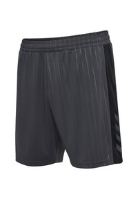 Svarta atletiska shorts med ränder, elastisk midja och slät textur. Har en solid svart sidopanel med logotypdetaljer.