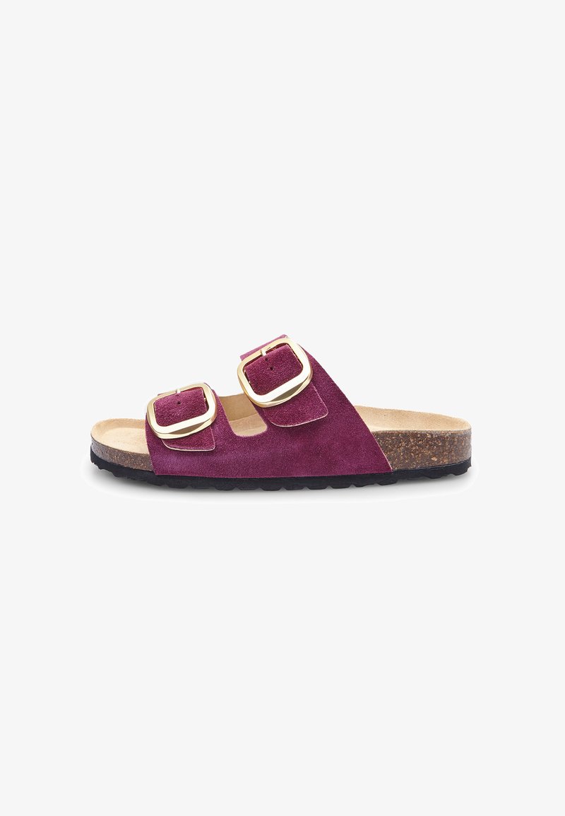 Two-buckle slide sandal made of burgundy suede, featuring gold-tone hardware, a cushioned footbed, and a textured black rubber sole.