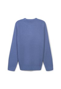 Blauer Strickpullover mit strukturiertem Gewebe, Rundhalsausschnitt und langen Ärmeln. Mit gerippten Bündchen und Saum. Rückansicht.