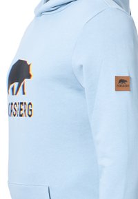 Felpa leggera blu chiaro realizzata in tessuto morbido, con una grafica di un orso nero e un contorno colorato. Etichetta in pelle marrone con la scritta "FORSBERG" sul manica.