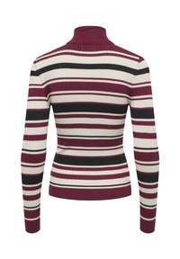 Pull en maille côtelée avec col roulé et rayures horizontales bordeaux, blanc et noir, vu de dos.