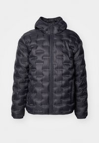 Hollister Co. PUFFER - Lengva striukė - phantom