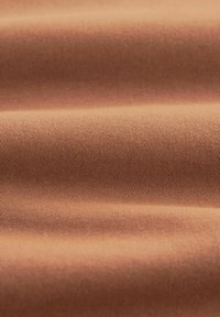 Next STRAIGHT FIT STRETCH CHINO - Kratke hlače - terracotta