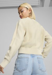 Puma V-NECK  - Pulover - alpine snow