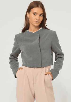 Blazer gris corto con mangas largas, que presenta un escote redondo y un cierre lateral. Combinado con pantalones de talle alto en rosa claro.