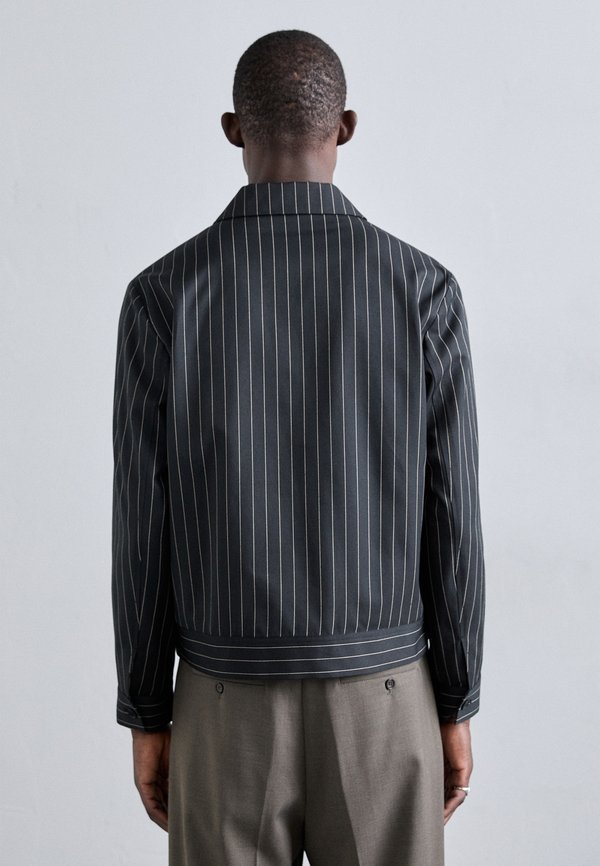 PARKE PIN STRIPE JACKET - Summer jacket2