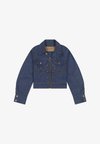 SUPER WRANGLER JACKET - Teksajakk - raw