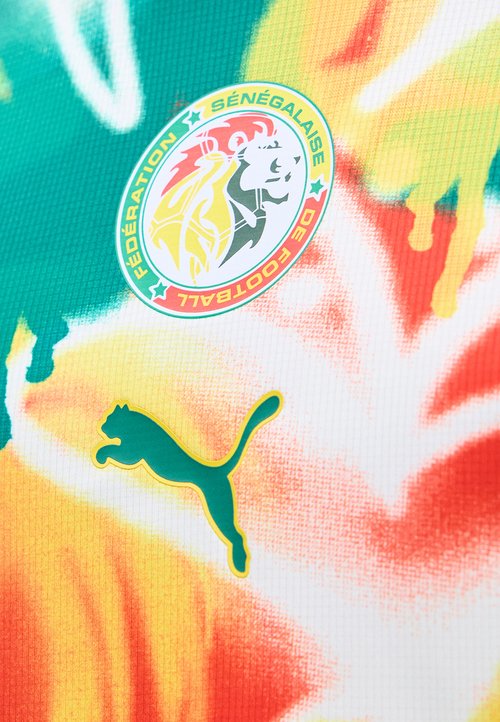 PUMA Camiseta Senegal 2026 Prepartido — photo 4