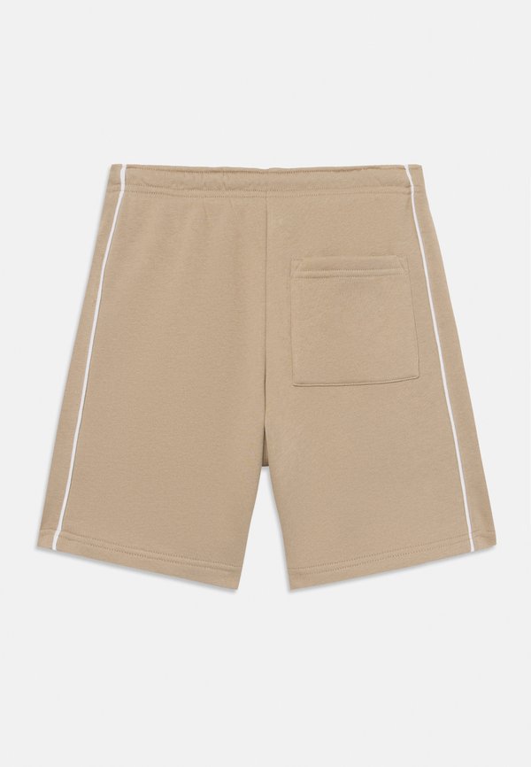 CORNELL UNISEX - Shorts - aluminum2