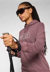 The North Face DREW PEAK LIGHT HOODIE - Luvtröja - tawny quartz/high rise grey