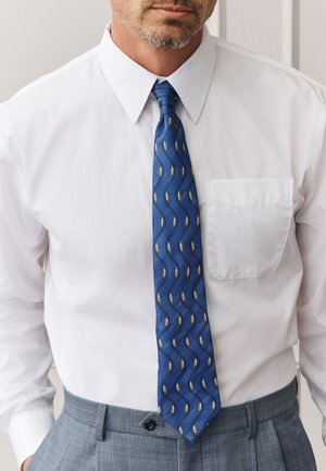 Erwachsener Mann in weißem Hemd, blauer gemusterter Krawatte und grauer Hose, dargestellt vom Brustkorb bis zum Hals in einem formellen Umfeld.