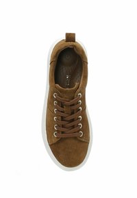 Nine West PALUT  - Sneakers basse - tan