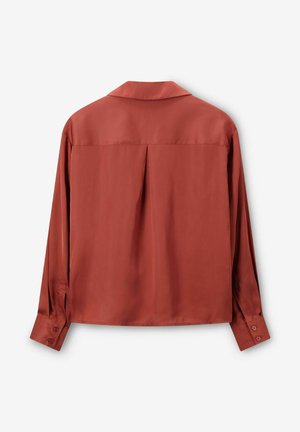 Roestkleurig, langemouwen shirt met een zachte, gladde textuur, voorzien van een klassieke kraag, knoopmanchetten en een plooidetail aan de achterkant.