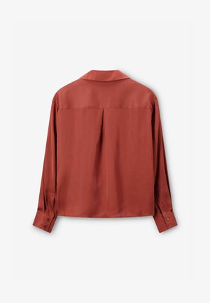 Roestkleurig, langemouwen shirt met een zachte, gladde textuur, voorzien van een klassieke kraag, knoopmanchetten en een plooidetail aan de achterkant.