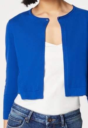 HALLHUBER, Gilet - blue