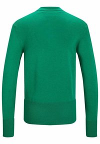 Grön stickad tröja med rund halsringning, långa ärmar och ribbade muddar och nederkant. Slät textur utan synliga mönster eller detaljer.