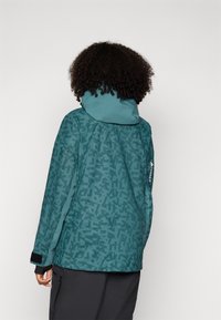 Adidas Terrex Hardshell-jakke - aurora ivy/preloved teal