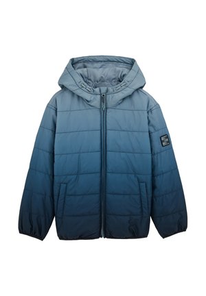 Vinterjakker - greyish blue