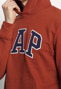 Sudadera color óxido con capucha, que presenta letras bordadas en blanco y azul marino en negrita "AP" en el pecho, y un bolsillo frontal.