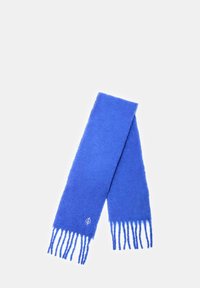 Sciarpa di lana blu con estremità frangiate e un dettaglio logo discreto. Tessuto morbido, forma rettangolare e colore vivace.