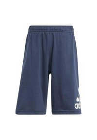 Pantaloni sportivi blu navy realizzati in tessuto liscio, dotati di una cintura elastica e di un accento con logo bianco sulla gamba sinistra.