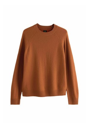 Rust-colored sweater made of soft material; features a round neck, ribbed cuffs and hem, and a relaxed fit with raglan sleeves.