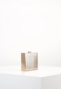 Metallinen kultainen clutch-laukku, jossa on teksturoitu käärmeennahkakuosi, laatikkomainen muoto ja saranakosketus. Liukas pinta ja ei näkyvää metalliosaa.