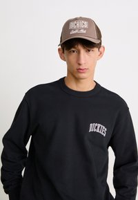 Dickies AITKIN CHEST UNISEX - Sudadera - black/plum