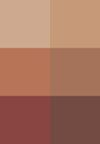 warm nude