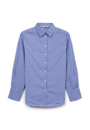 Langan Ärmels Hemd in Blau-weißer Karomuster mit Button-down-Kragen, Standardpassform und verstellbaren Manschetten, aus leichtem Stoff gefertigt.