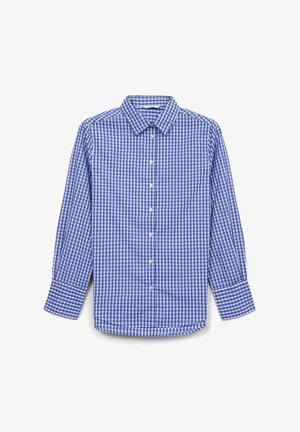 Langan Ärmels Hemd in Blau-weißer Karomuster mit Button-down-Kragen, Standardpassform und verstellbaren Manschetten, aus leichtem Stoff gefertigt.