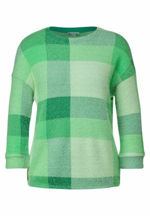 Groen geblokt sweater in verschillende tinten groen. Heeft een ronde halslijn en driekwart mouwen. Zachte, gestructureerde stof.
