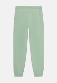 Pantalons de jogging vert menthe avec une taille élastique, des poignets fuselés et une texture douce et lisse. Pas de motifs ni de détails en matériel visibles.