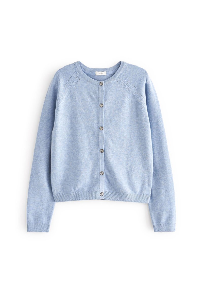 Next CARDIGAN - Cardigan - blue