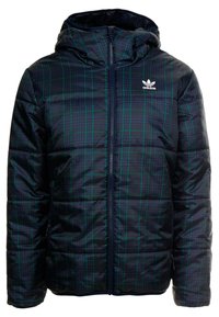 adidas Originals Winter jacket - anthracite