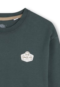 Groene sweatshirt met een ronde hals, geribde manchetten en een wit Timberland-logo op de linkerkant van de borst. Soepele textuur.