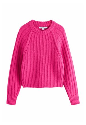 REGULAR FIT - CHUNKY CREW NECK - Pullover - bright pink