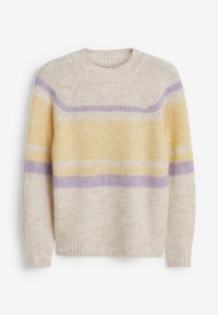 Next Trui - multi-coloured