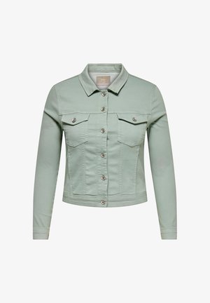 Lys grønn denim-inspirert jakke med knappelukking foran, to brystlommer med klaff, lange ermer og en klassisk krage.