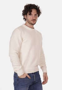 Maglione lavorato a maglia di colore crema con collo rotondo, polsini e orlo a coste. Indossato con jeans blu, in piedi su uno sfondo bianco semplice.