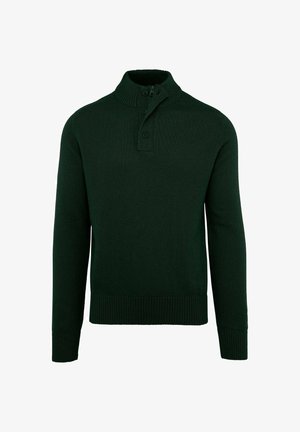 Maglione di lana verde scuro a maniche lunghe con collo alto a coste e patta con bottoni su sfondo bianco.