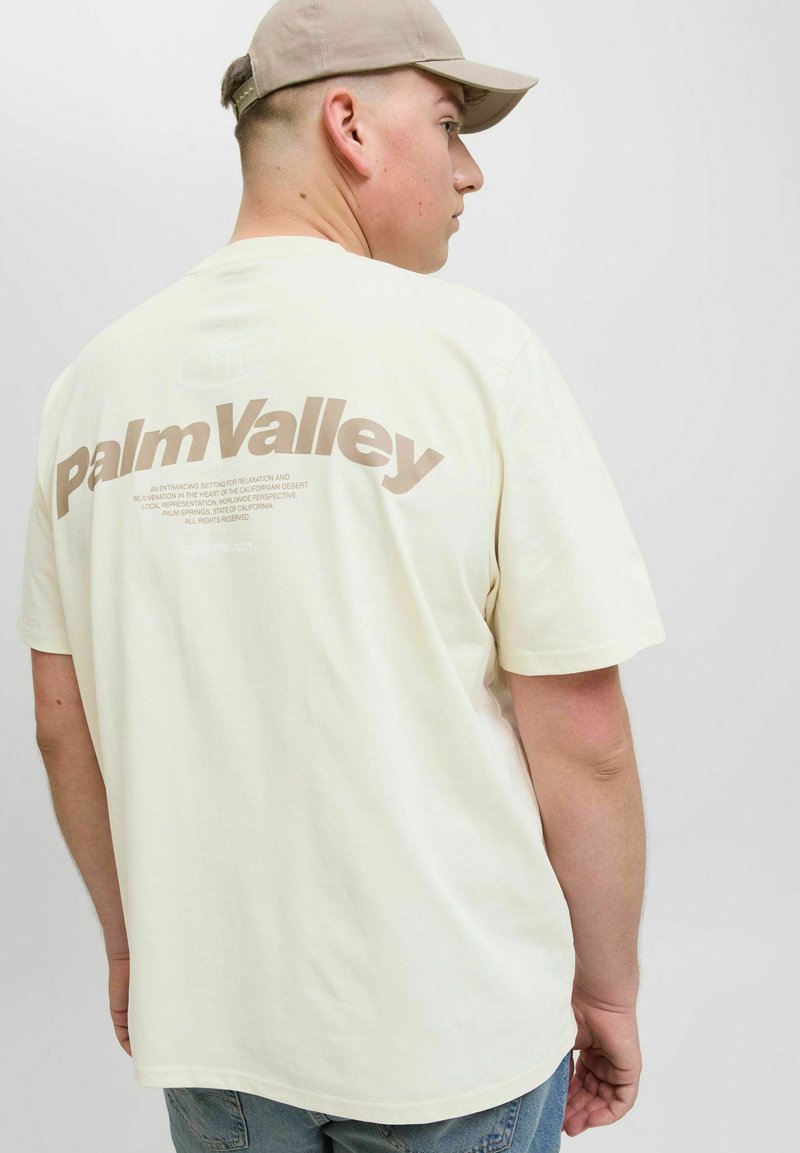 Krem majica od pamuka s kratkim rukavima. Veliki grafički print "Palm Valley" u smeđoj boji na leđima. Opusti fit i zaobljen rub.