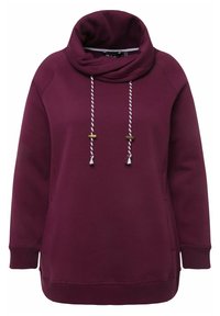 MIT STEHKRAGEN RAGLANFORM LANGE ÄRMEL  - Sweatshirt - donkere bes