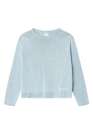 Hellblauer Pullover mit langen Ärmeln und Rundhalsausschnitt, mit geripptem Saum und kleinem weißen "PEPE JEANS"-Logo nahe der unteren rechten Seite.