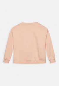 Sweatshirt de cor pêssego clara, com mangas longas, decote redondo e bainha canelada. Textura suave e design casual sem padrões ou enfeites.