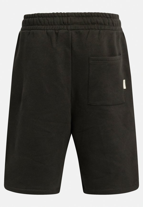 MCCOY BAGGY FIT - Shorts3