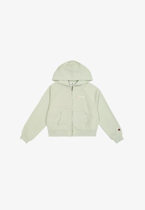 Lichtgroene zip-up hoodie met een gevoerde capuchon, voorkezen en een geborduurd logo op de borst. Gemaakt van zacht, getextureerd materiaal.