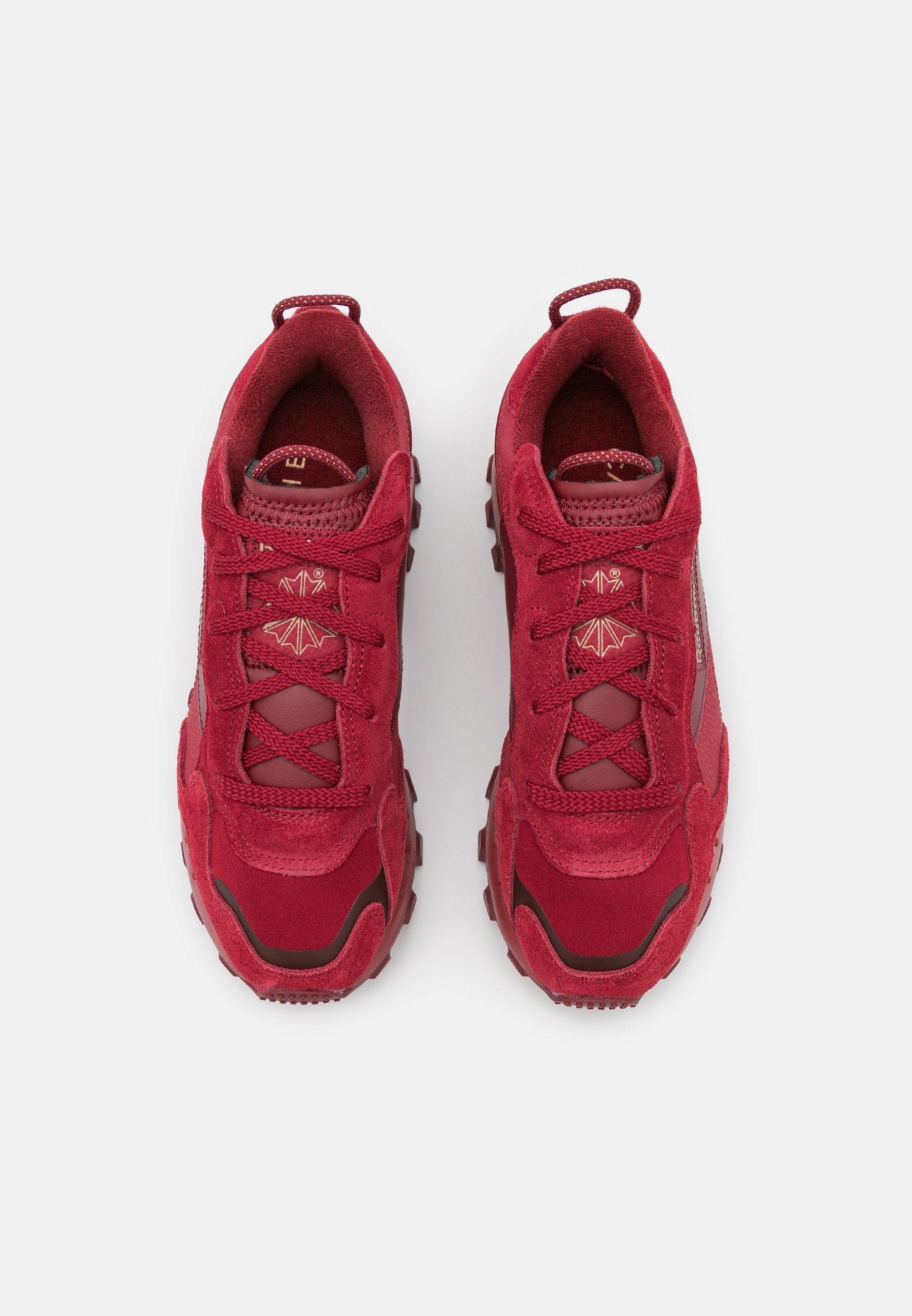 cardi sneaker